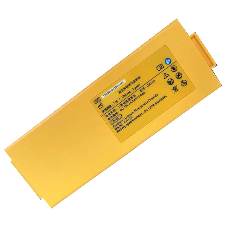 Oem Replacement Equipment battery Amoul  for 220400042-22B000640 