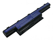 AS10D61 Battery